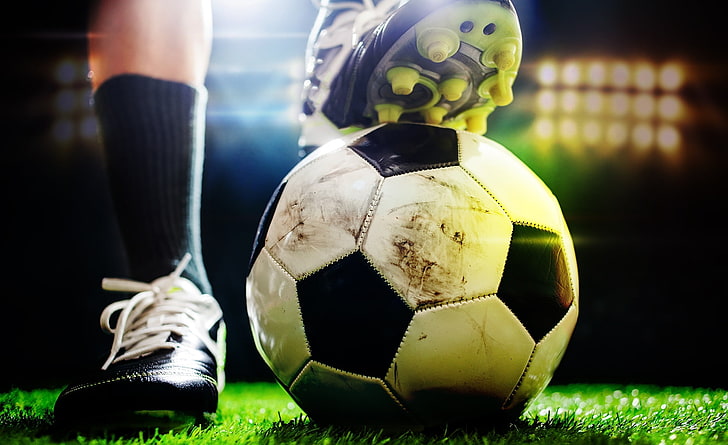 懒人福音乐鱼体育最新官网！让草坪自动修剪，你只需享受美景